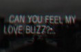 Can you feel my love buzz?
